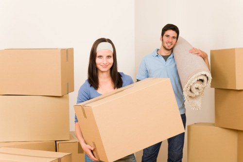 Insured man with van service handling belongings carefully
